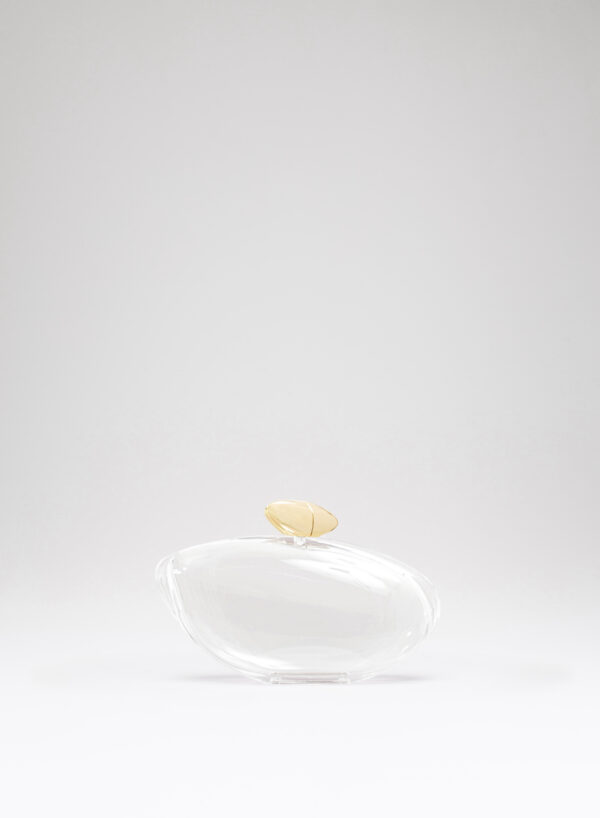 ARMONIA - Transparent - Image 4