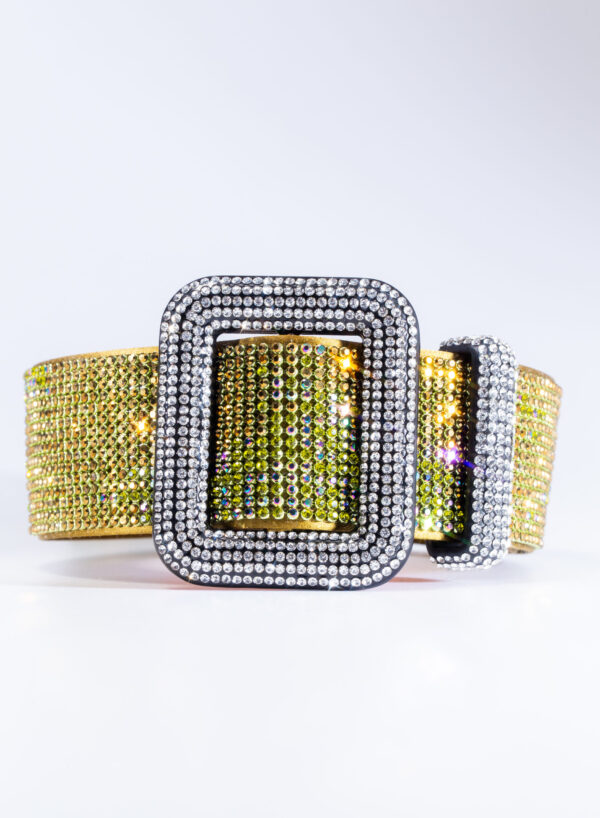 VENUS BELT LA PETITE - Let's Get Lost - Image 2