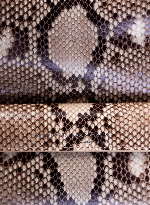 KATE - Reticulatus Roccia - Image 8